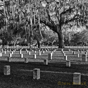 Live Oak Cemetery