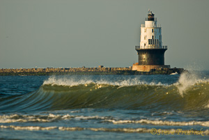 Cape Henlopen Blinker